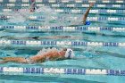 Swimming & Diving vs RWU  Swimming & Diving vs Roger Williams University. - Photo by Keith Nordstrom : Wheaton, Swimming